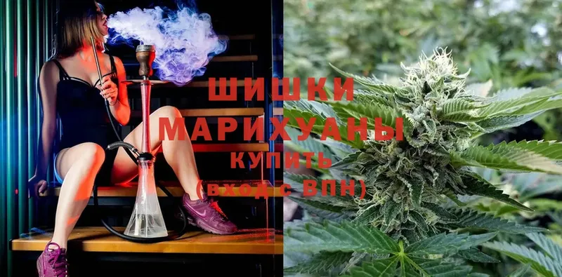 купить   Нововоронеж  МАРИХУАНА Amnesia 